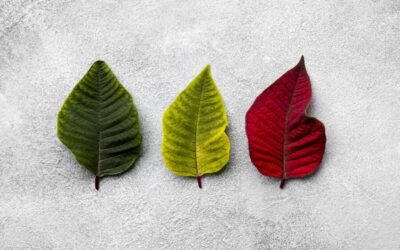 Why Your Body Feels Different at the End of the Year